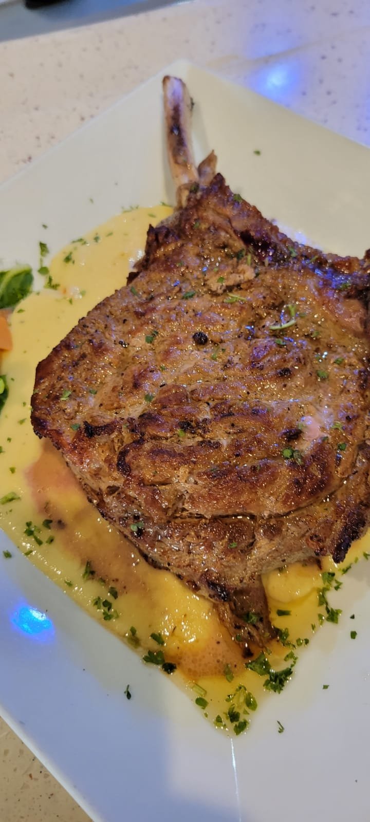 WhatsApp Image 2026-03-27 at 11.28.34 AM